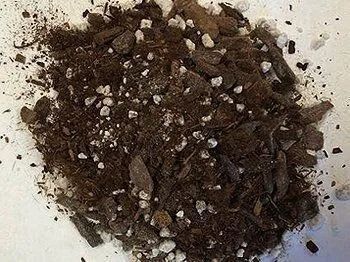 Pile of dark brown potting mix with pieces of bark and white perlite.