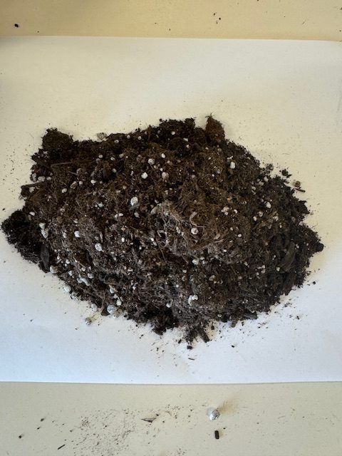 Pile of dark potting soil with white flecks of perlite on a white surface.