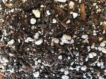Close-up of potting soil mix; dark soil with white perlite and small wood chips.