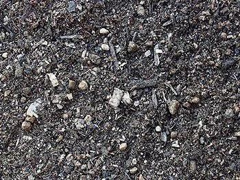 Close-up of dark soil, mixed with small rocks and pieces of organic matter.