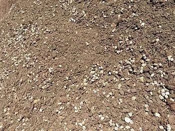 Brown soil mix with small white and gray pebbles.