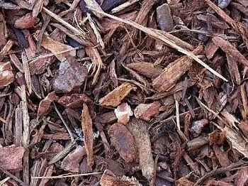 Close-up of brown wood mulch, including bark and small sticks.