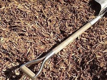 Shovel in wood mulch. The shovel's silver blade and wooden handle are visible against the brown mulch.