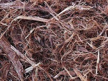 Brown mulch, composed of shredded bark and wood fibers.