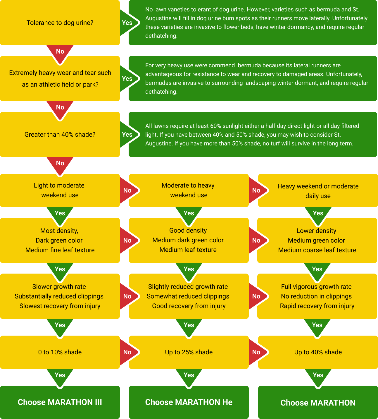 Flowchart for choosing a marathon, based on training status and injury history; uses yellow and green color scheme.