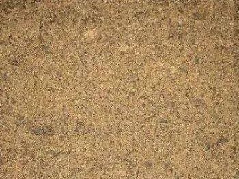 Close-up of brown, grainy sand texture.