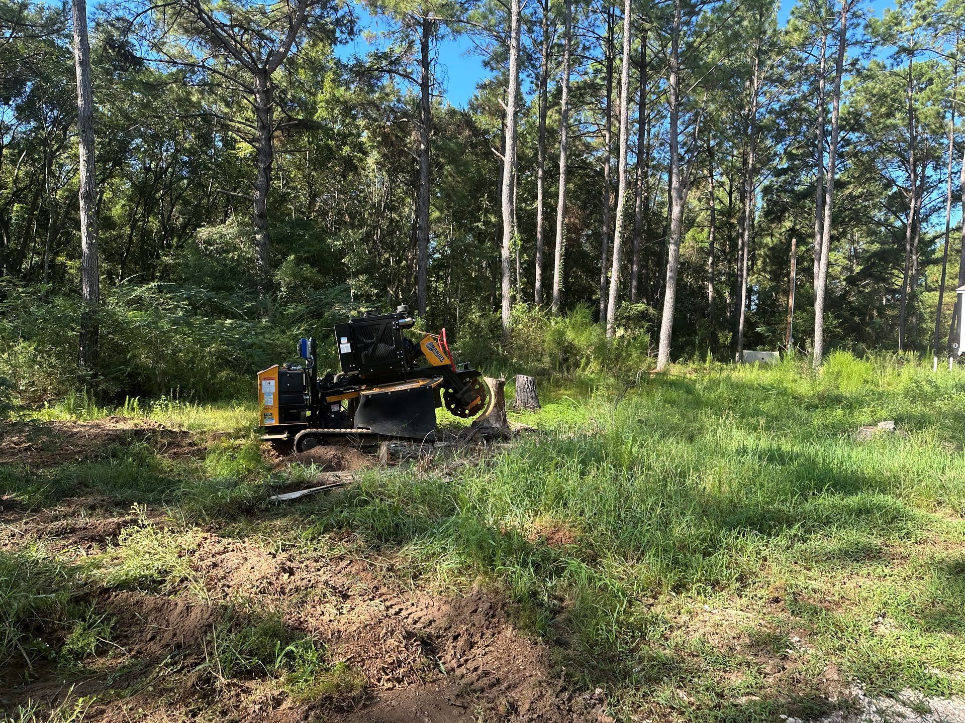Small Tree Root Grinding — Foley, AL — Superior Stump Grinding