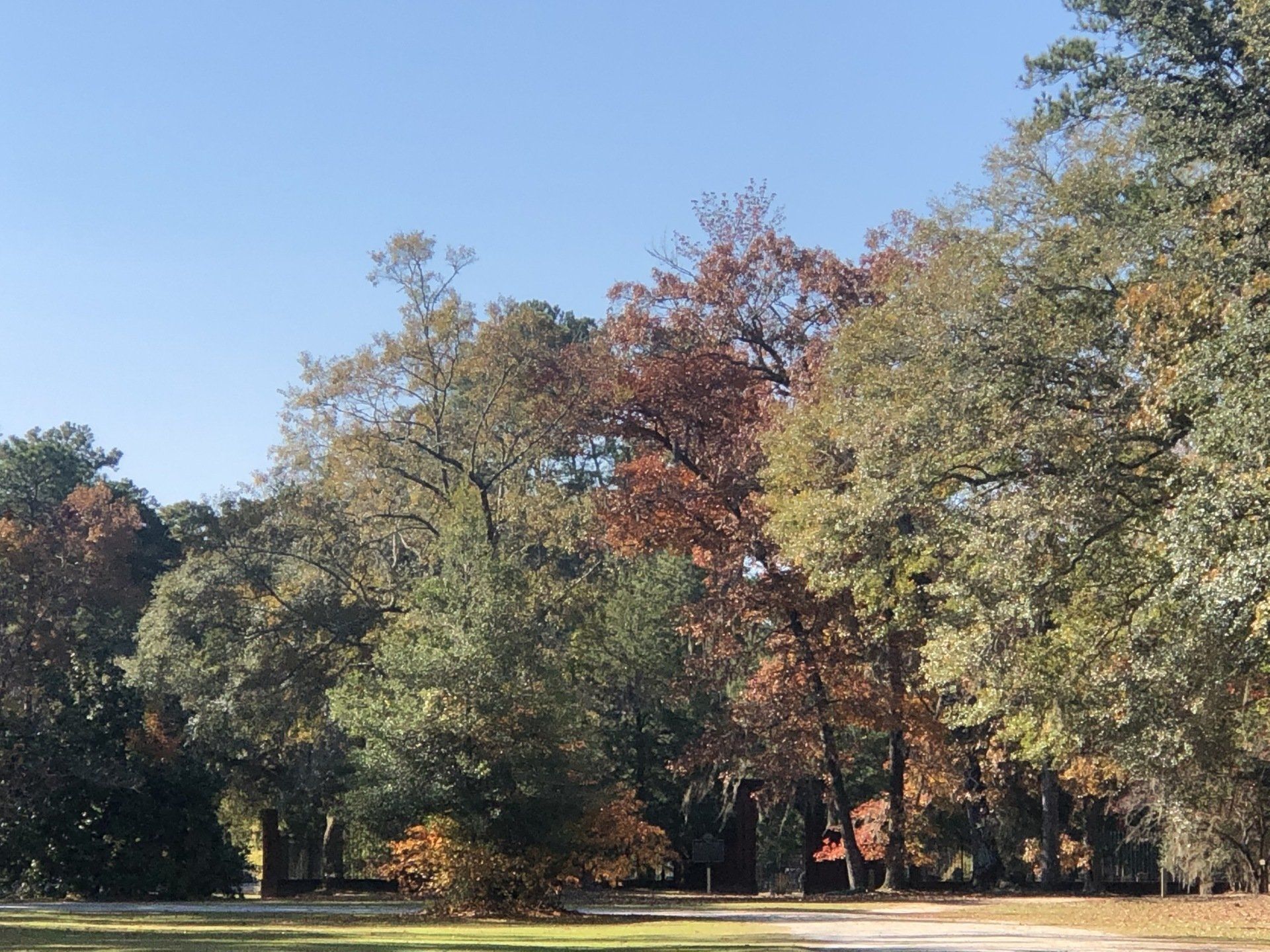 nature retreats in georgia