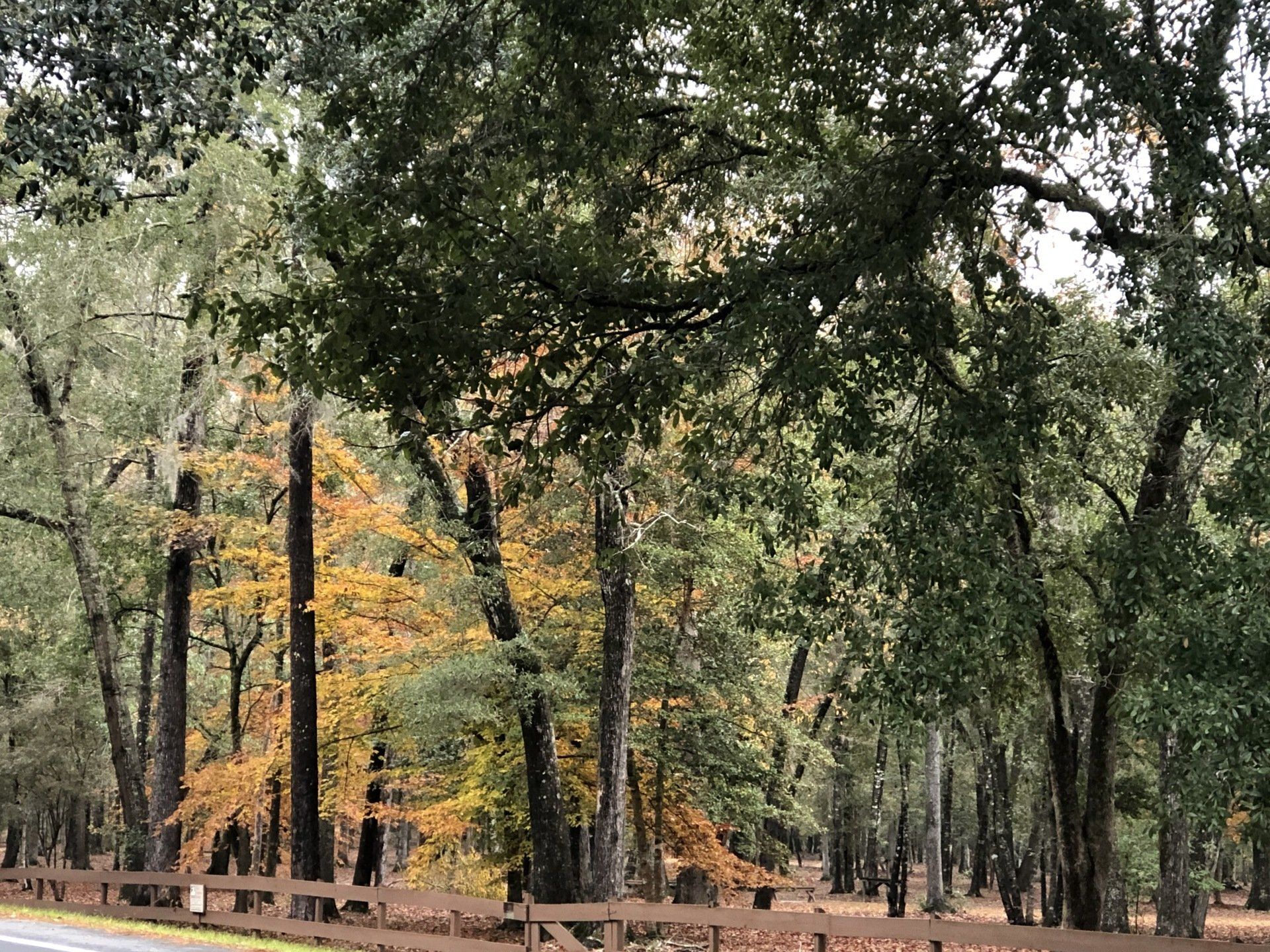 nature sites near me