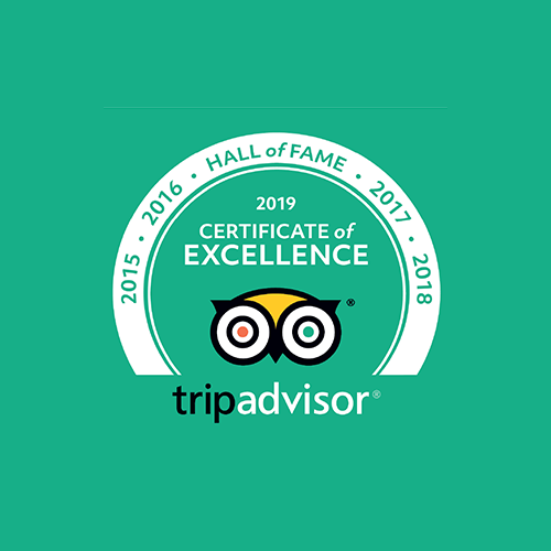 green and white 2019 certificate of excellence award from trip advisor hall of fame