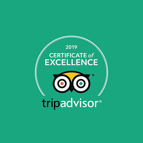 green and white 2019 certificate of excellence award from trip advisor