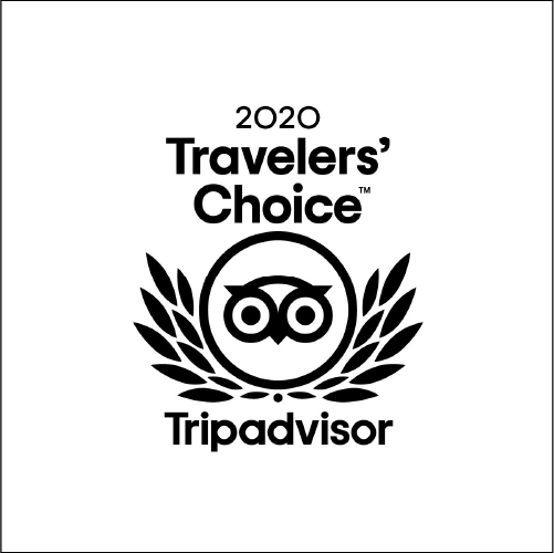 black and white travelers choice award logo from trip advisor