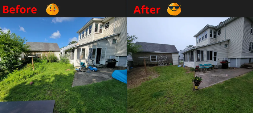 Before and After a Yard Clean-up