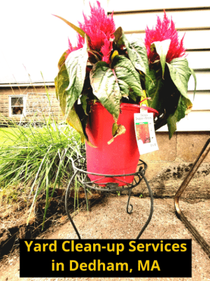 Yard Clean-up Services - Dedham MA