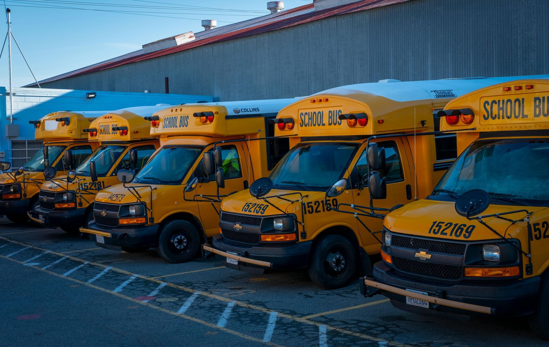 A row of yellow school buses parked in a lot under a clear blue sky.