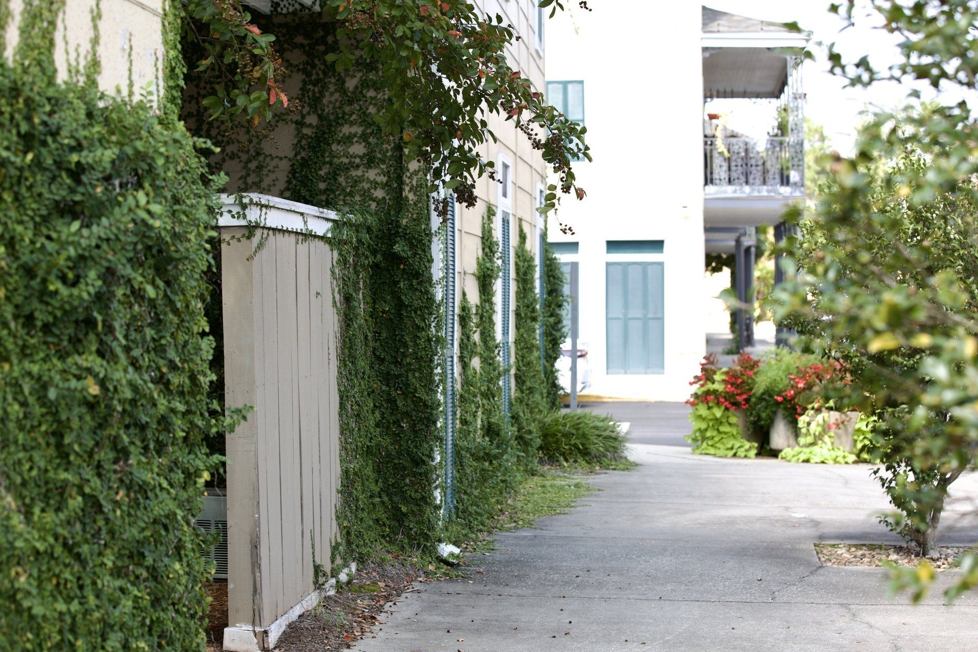 Photos The French Quarter Auburn, AL