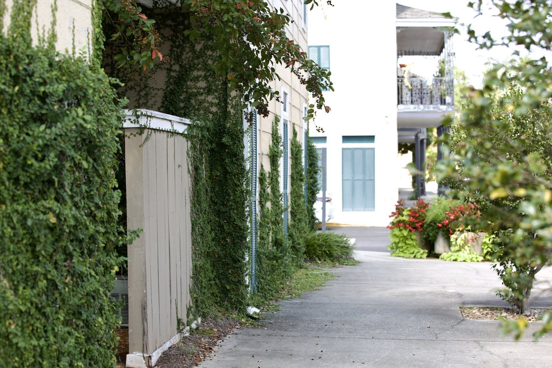 Photos The French Quarter Auburn AL