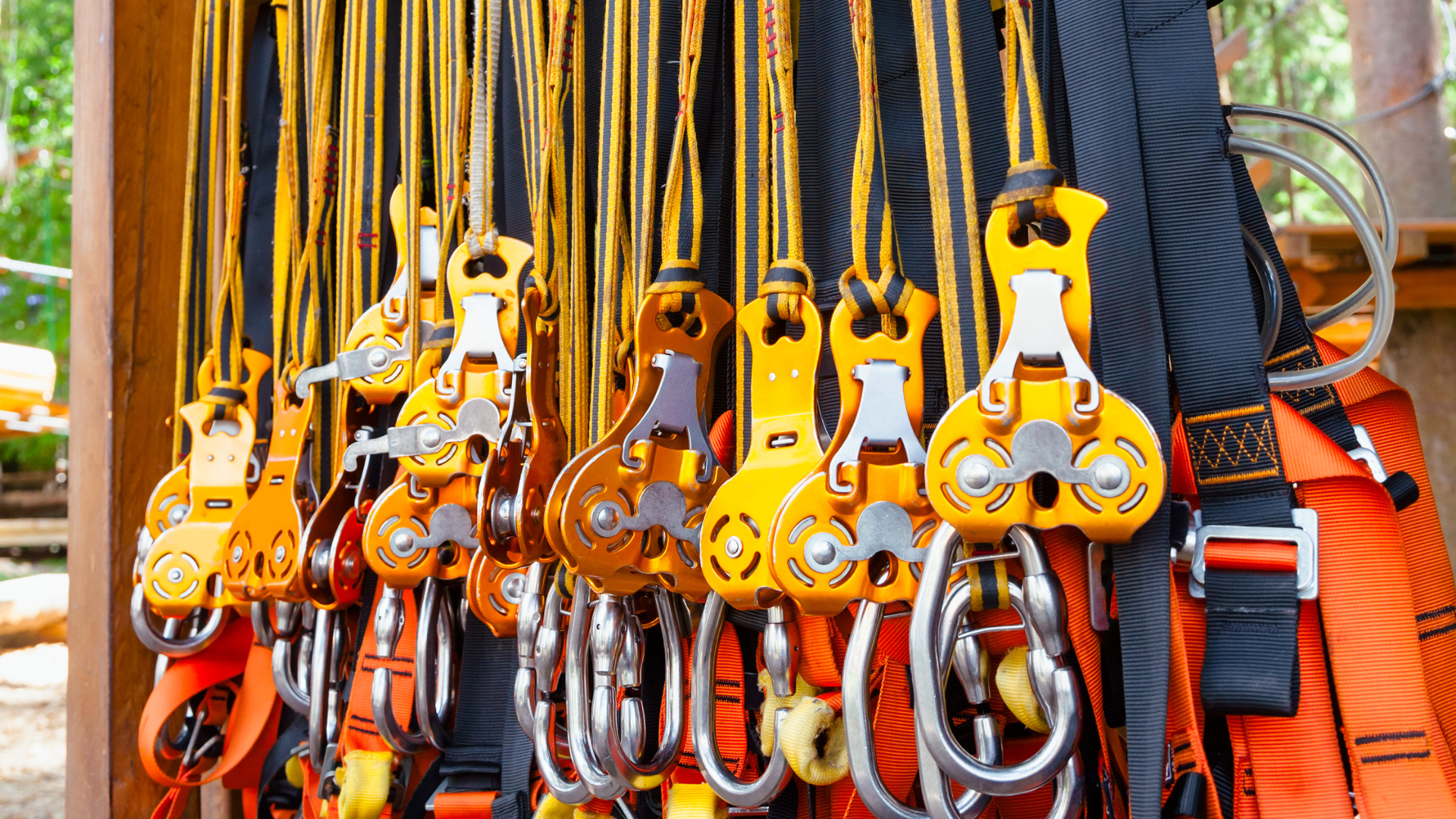 A bunch of climbing gear is hanging on a rack.