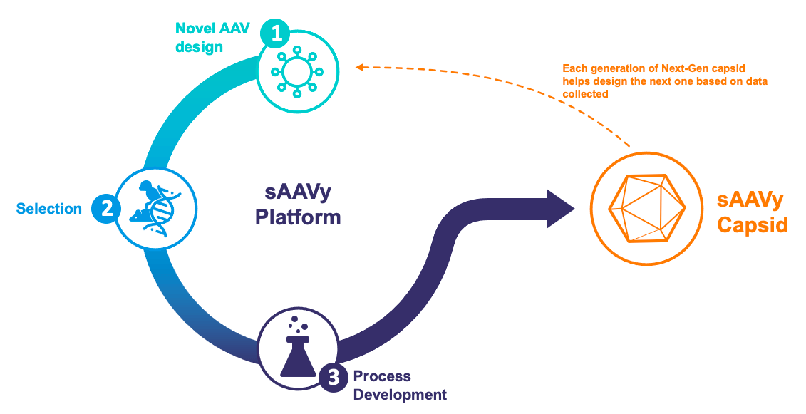 sAAVy Development Platform Graphic