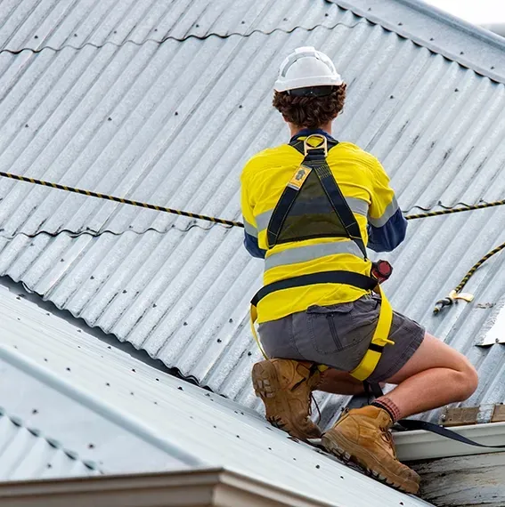 A Tradie on Metal Roof in Harness — Wagga Roof Repairs In Mount Austin, NSW