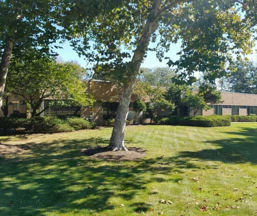 Lawn with Tree — Physical Therapy in Cedar Knolls, NJ