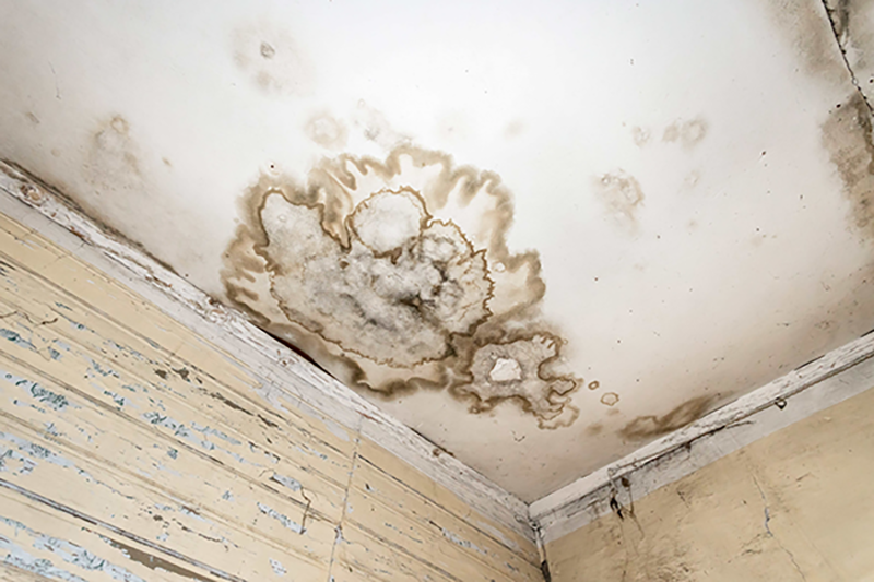 Mold on a home in Macedonia, OH