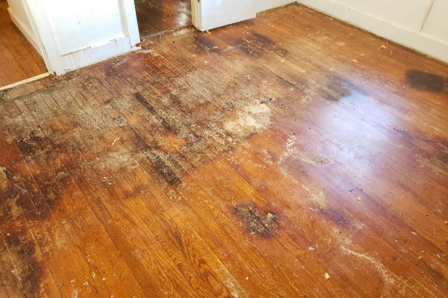 Water damaged flooring showing warping and discoloration
