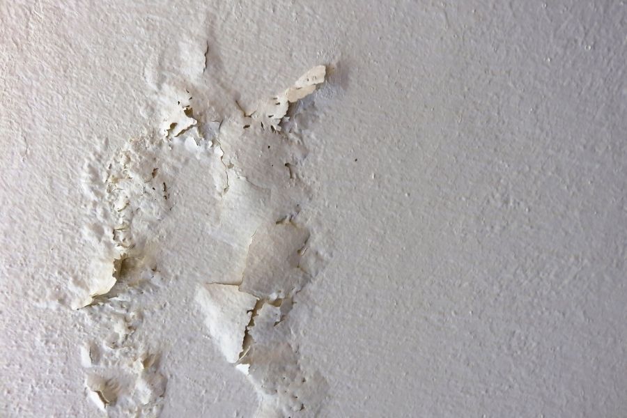 Mold growth from moisture buildup