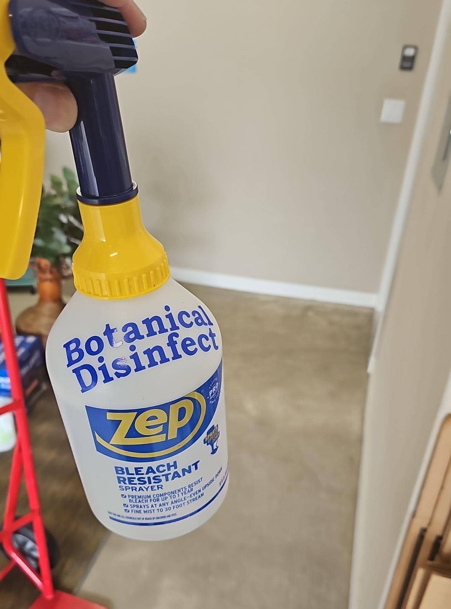 anti microbial water damage cleanup