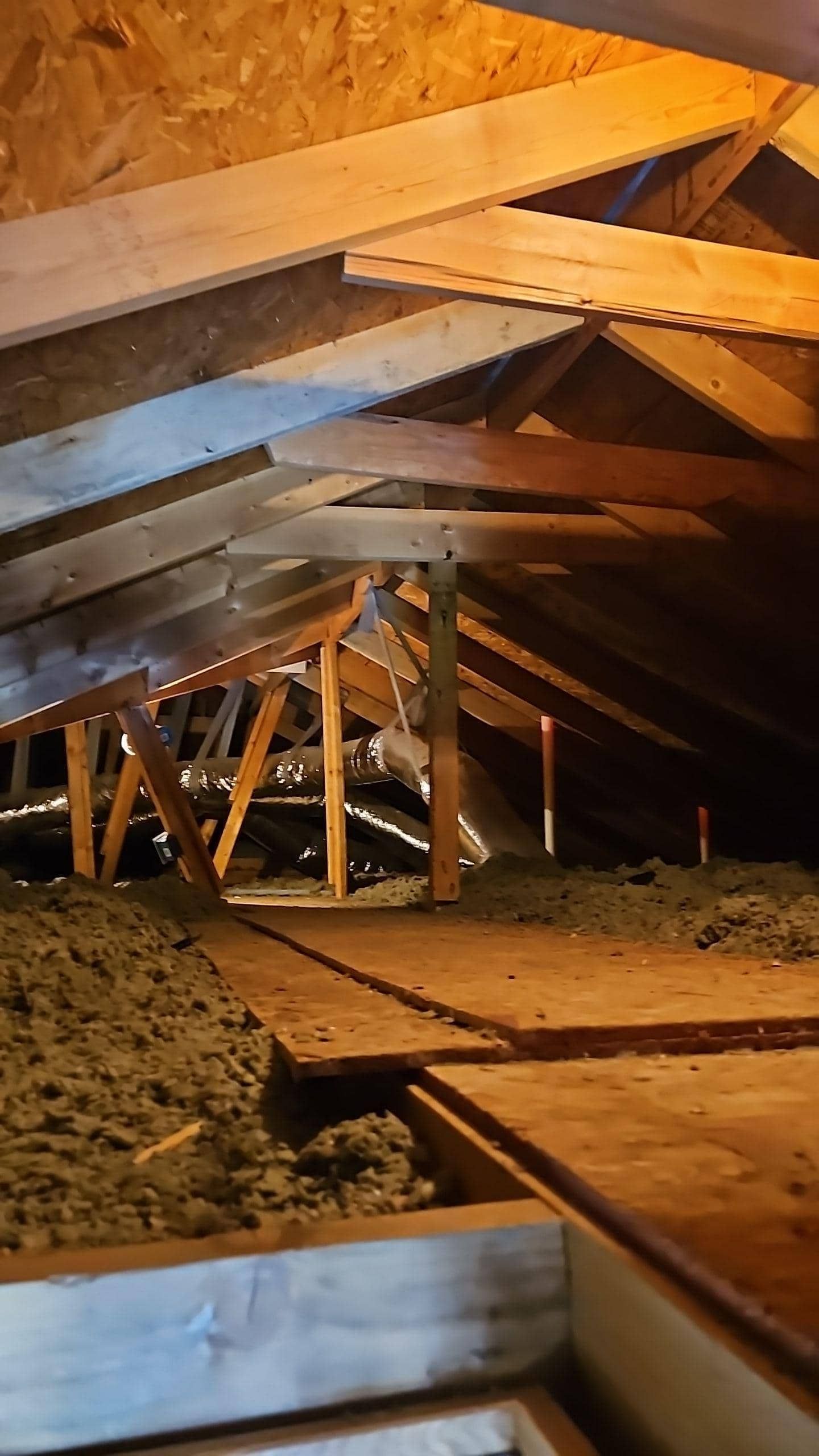 attic water damage dryout