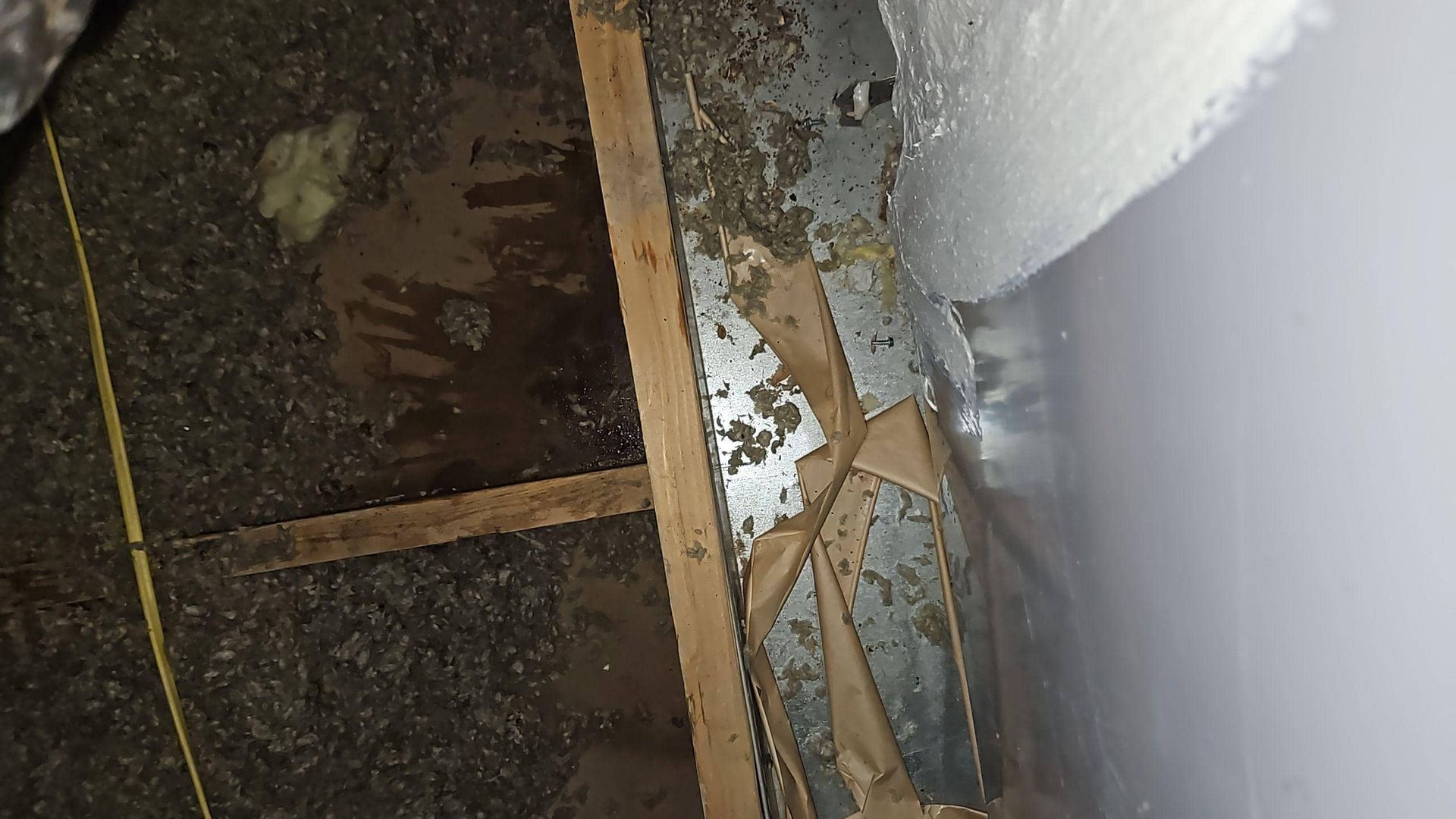 attic water damage dryout