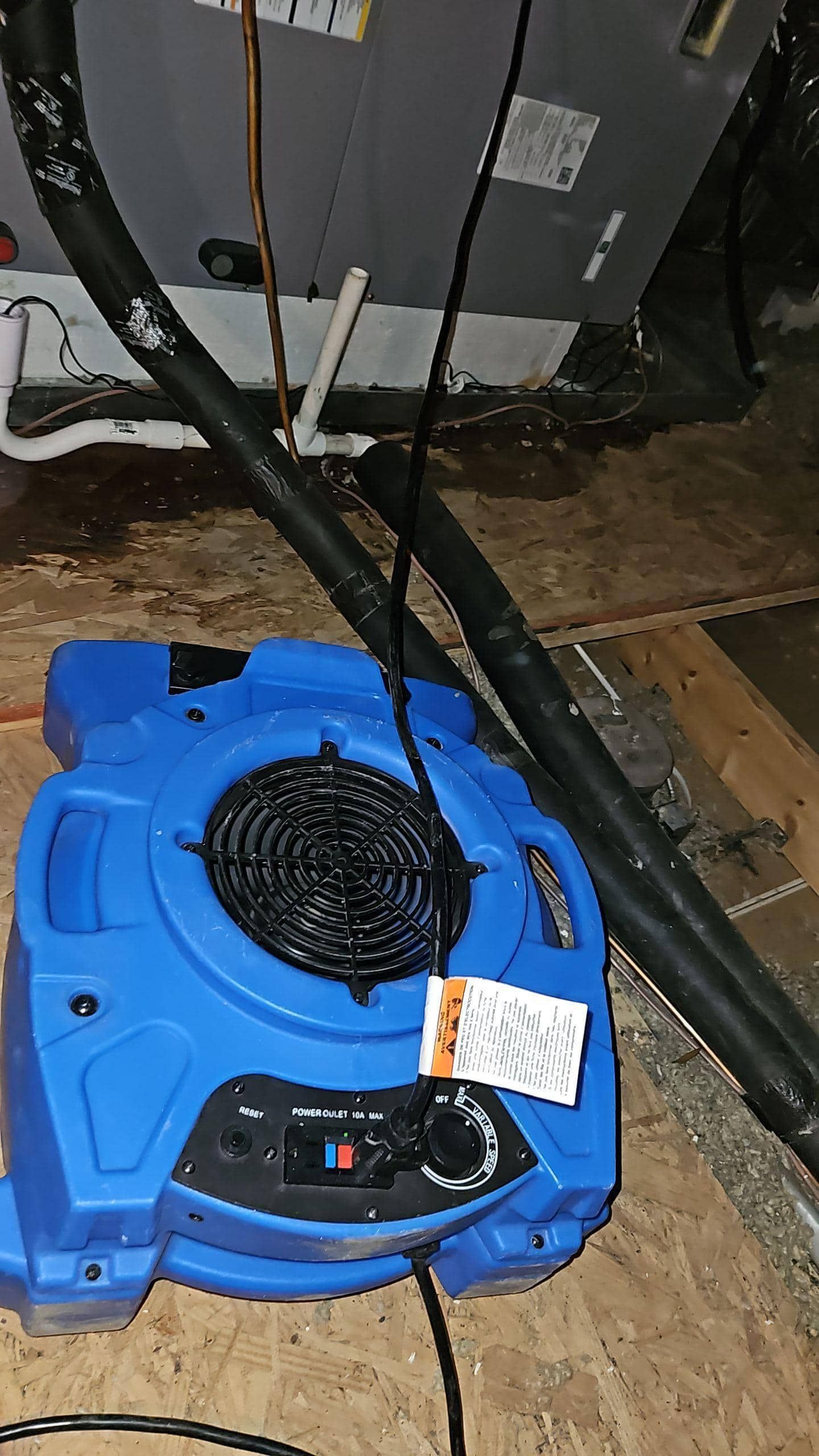 Attic water damage dryout