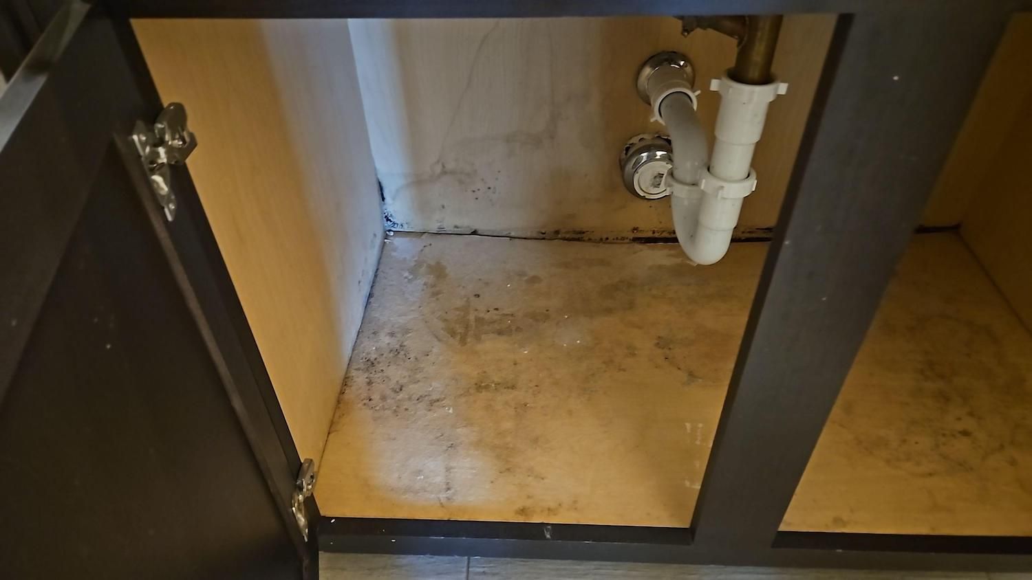 Bathroom mold remediation in pflugerville