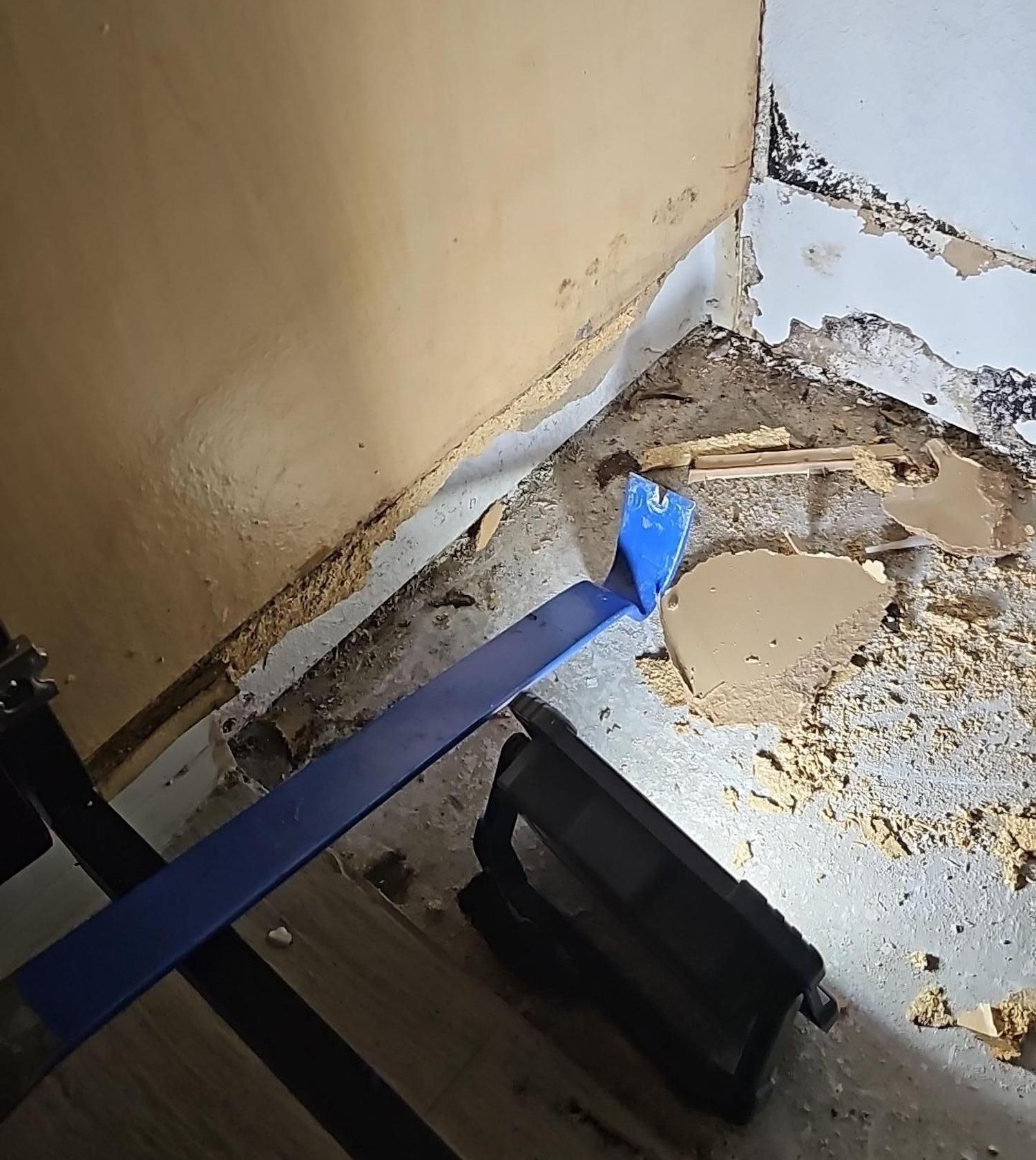 Bathroom mold remediation in pflugerville