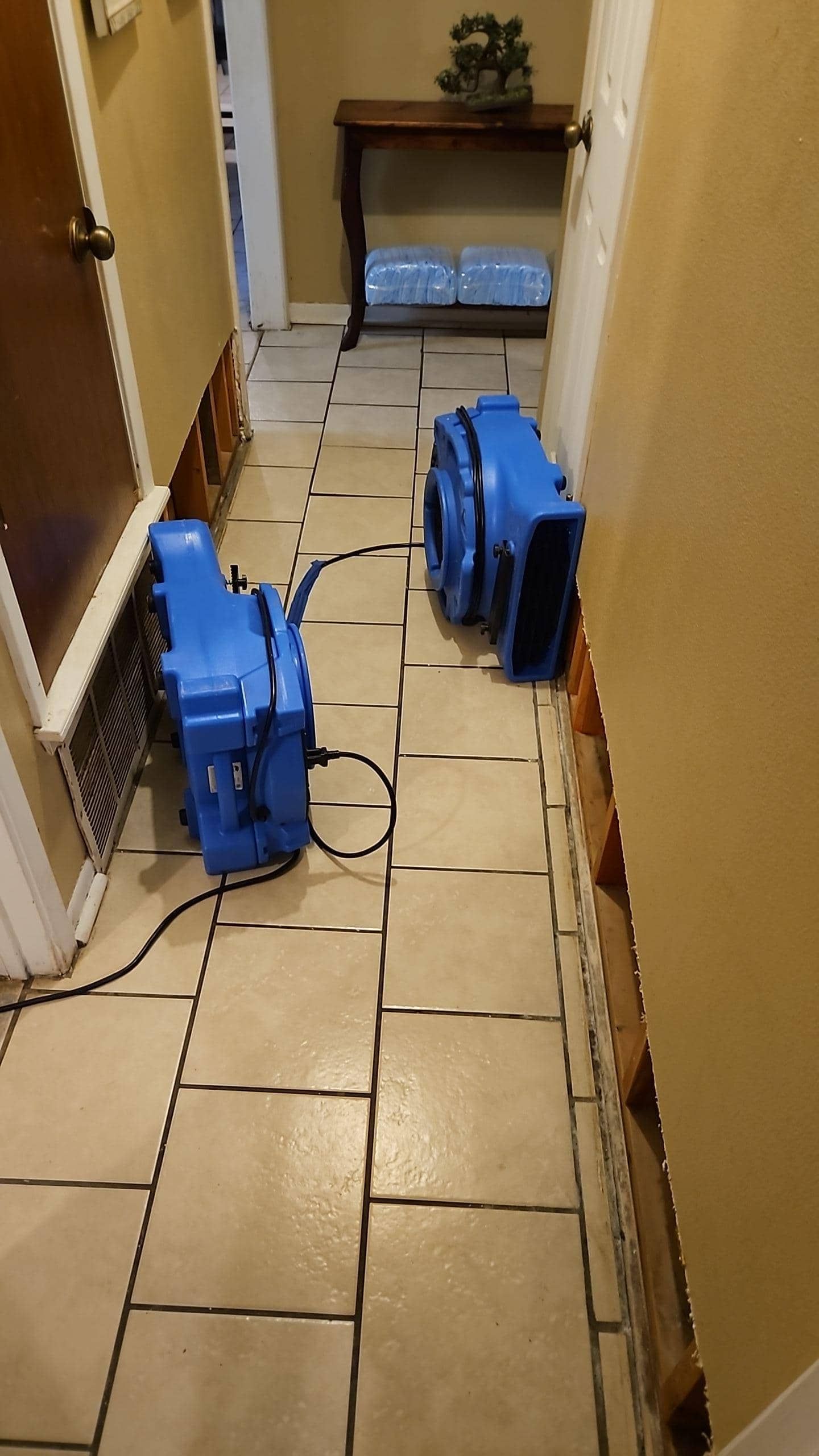 bathroom water damage dryout in Cameron, tx home