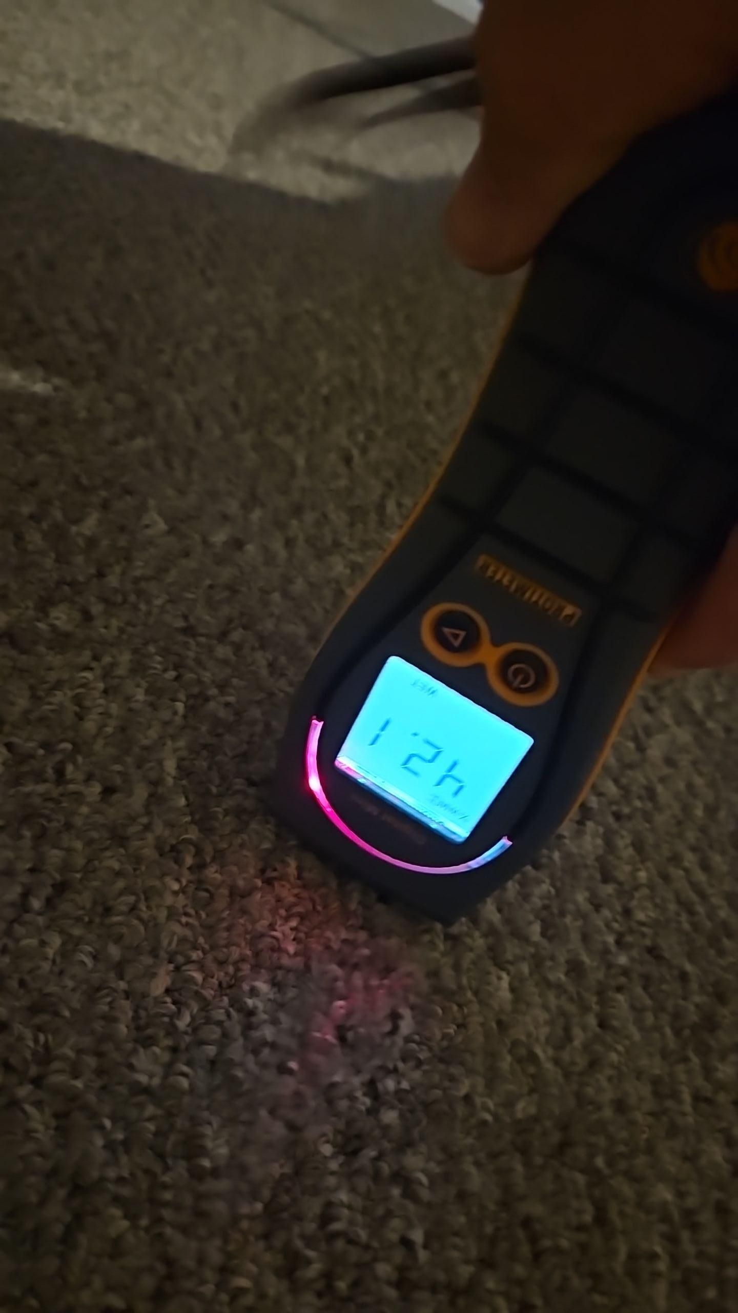 Moisture meter showing elevated readings on carpet