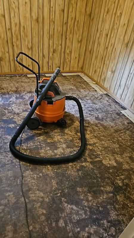 carpet water damage cleanup
