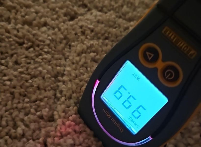 carpet water damage and moisture reading