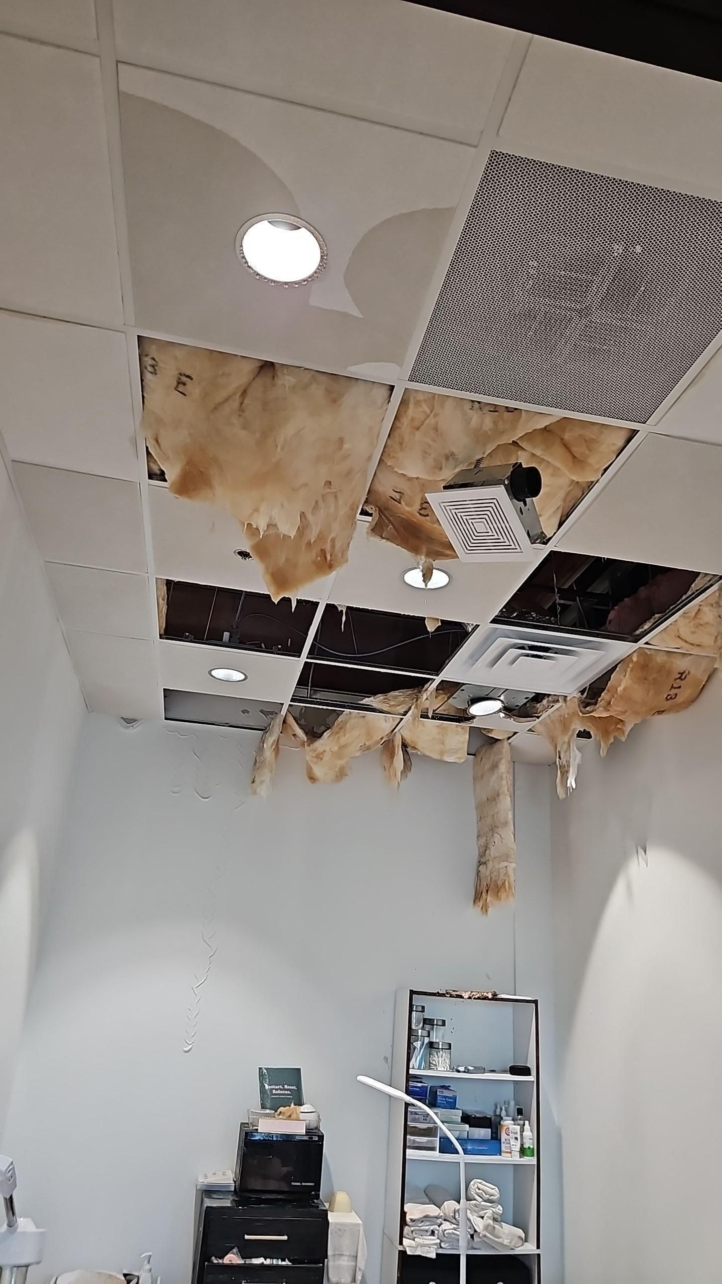 Ceiling damage from water weight