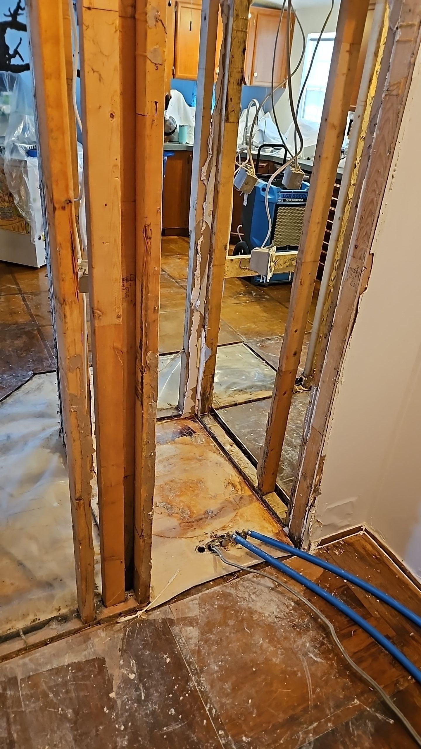 Closet demo for mold and water damage