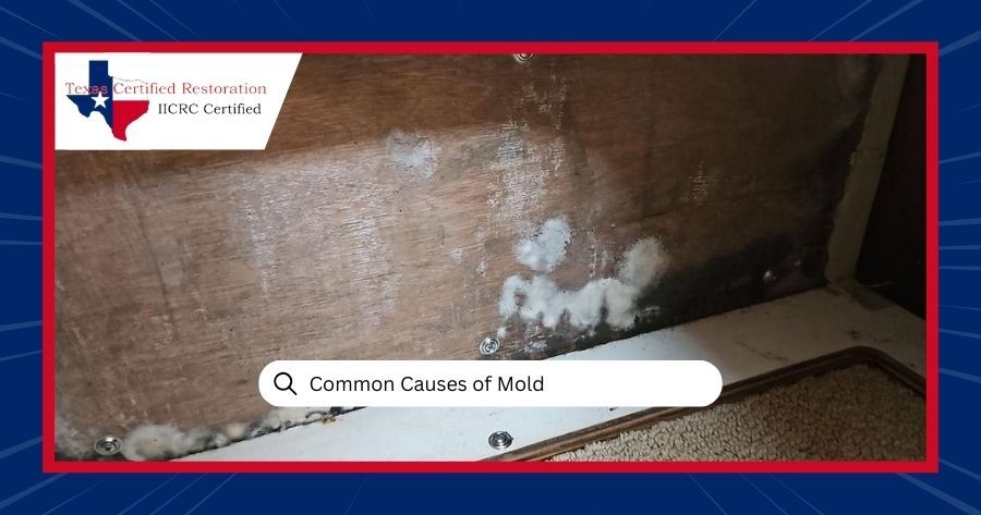 common causes of mold