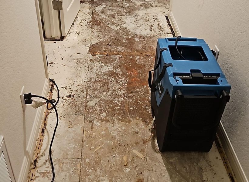 dehumidifier in the hallway