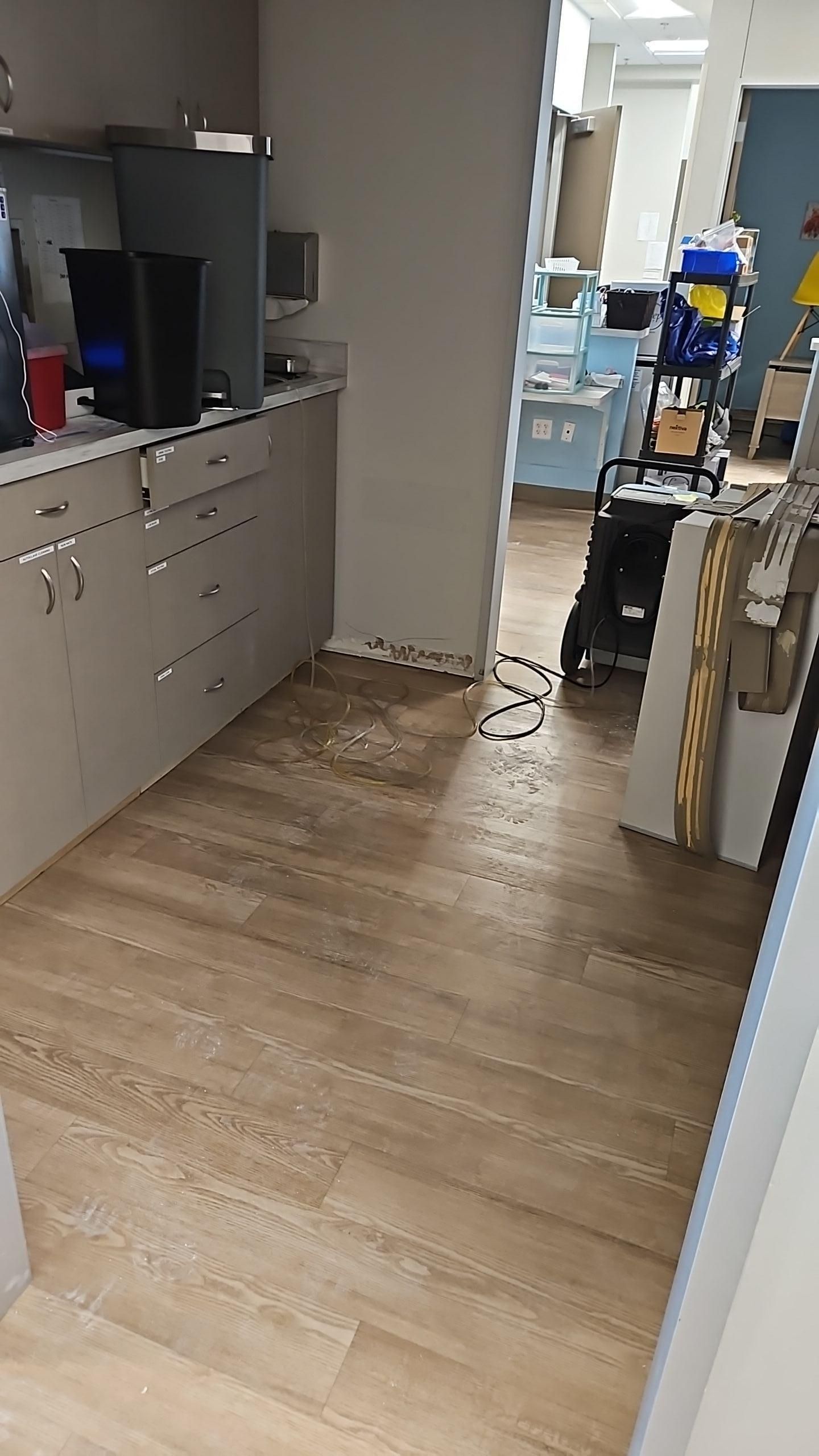 Commercial dehumidifier for water damage drying