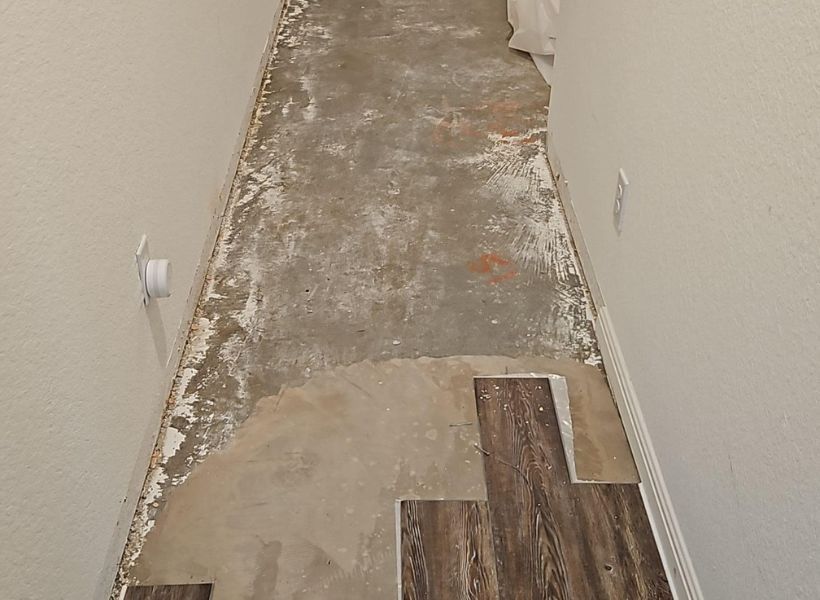 entryway in the process