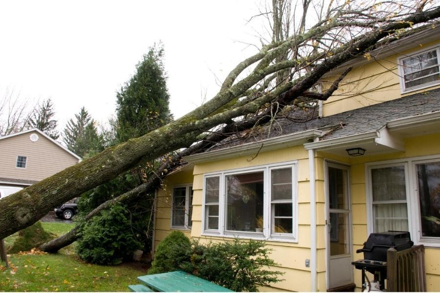 Fallen tree branches resting on a damaged residential roof after a Central Texas storm