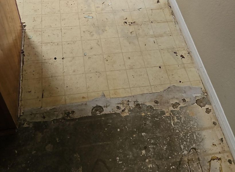 flooring demo