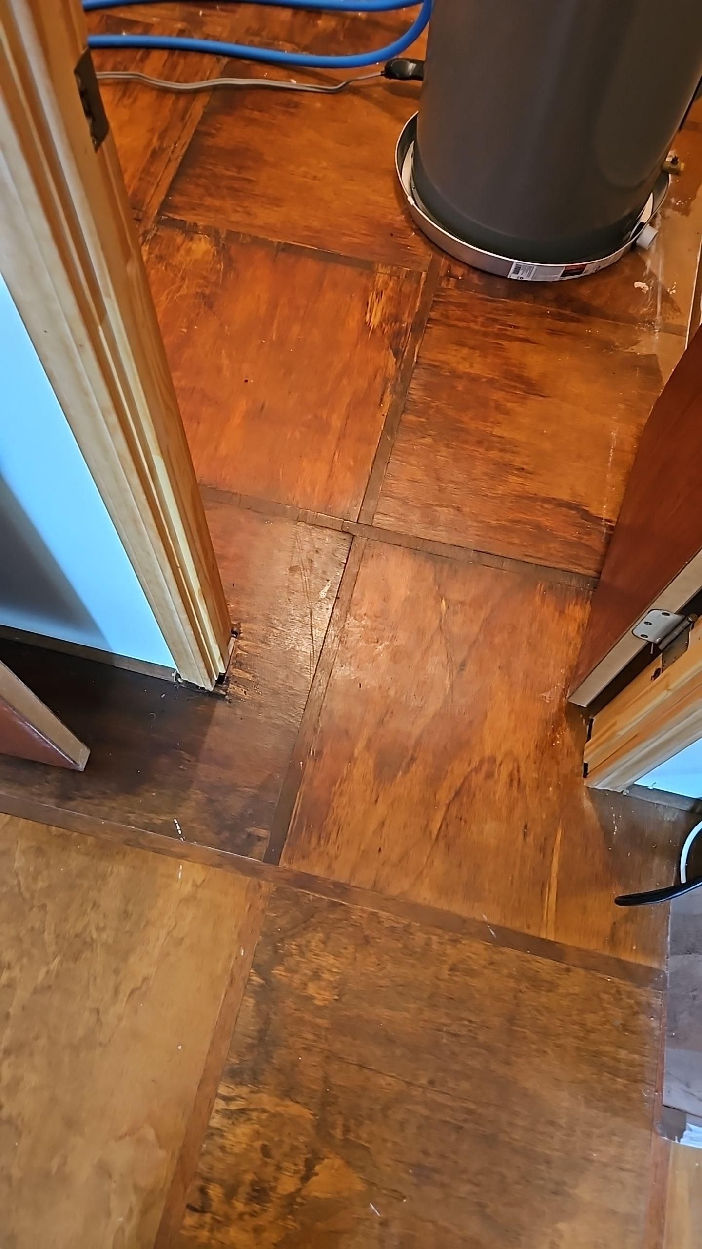 Mold damage on flooring