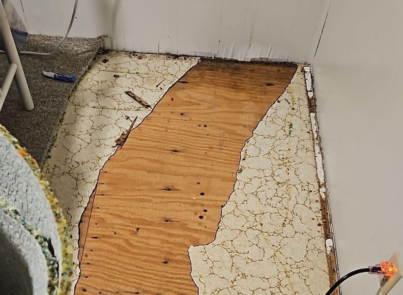 flooring removal
