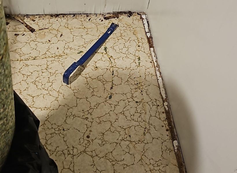 flooring water damage demo