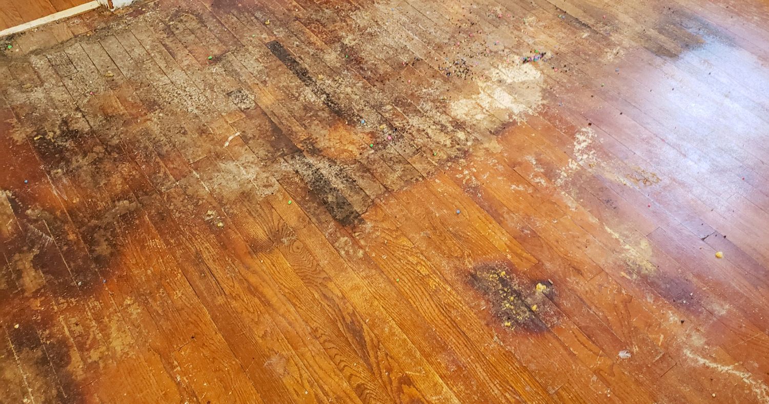 how to fix water damage on wood